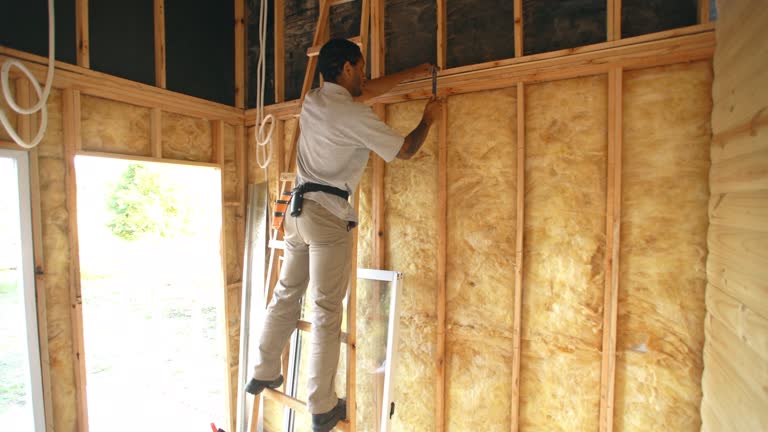 Best Insulation for New Construction  in Bainbridge Island, WA